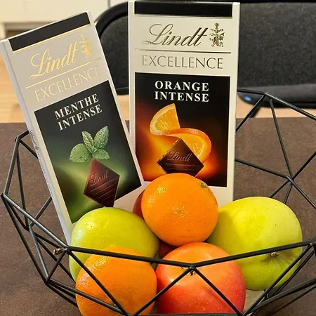 25 M2 Tour Black Swans Centre Tram C Et E Direct Parlement Europeen A 15 Minutes Arrivee 24 Sur 24 ستراسبورغ