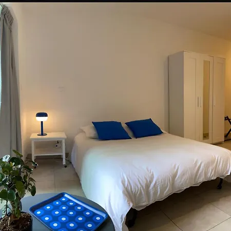 25 M2 Tour Black Swans Centre Tram C Et E Direct Parlement Europeen A 15 Minutes Arrivee 24 Sur 24 שטרסבורג