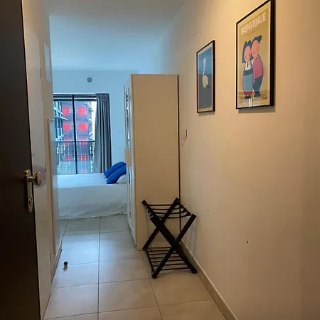 דירה 25 M2 Tour Black Swans Centre Tram C Et E Direct Parlement Europeen A 15 Minutes Arrivee 24 Sur 24