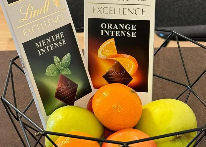 25 M2 Tour Black Swans Centre Tram C Et E Direct Parlement Europeen A 15 Minutes Arrivee 24 Sur 24 שטרסבורג