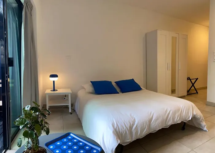 25 M2 Tour Black Swans Centre Tram C Et E Direct Parlement Europeen A 15 Minutes Arrivee 24 Sur 24 שטרסבורג