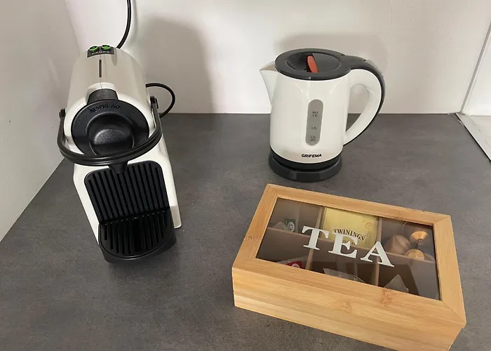 דירה 25 M2 Tour Black Swans Centre Tram C Et E Direct Parlement Europeen A 15 Minutes Arrivee 24 Sur 24 *