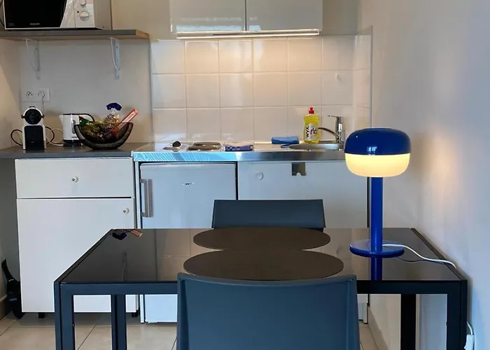 דירה 25 M2 Tour Black Swans Centre Tram C Et E Direct Parlement Europeen A 15 Minutes Arrivee 24 Sur 24 *