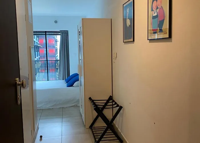 דירה 25 M2 Tour Black Swans Centre Tram C Et E Direct Parlement Europeen A 15 Minutes Arrivee 24 Sur 24