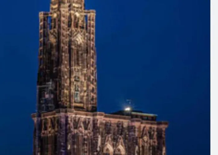 25 M2 Tour Black Swans Centre Tram C Et E Direct Parlement Europeen A 15 Minutes Arrivee 24 Sur 24 * שטרסבורג