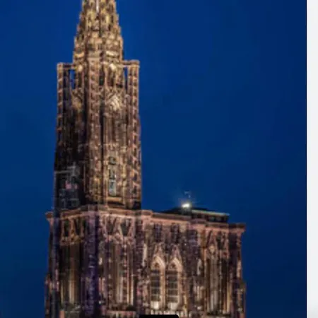 25 M2 Tour Black Swans Centre Tram C Et E Direct Parlement Europeen A 15 Minutes Arrivee 24 Sur 24 * ストラスブール